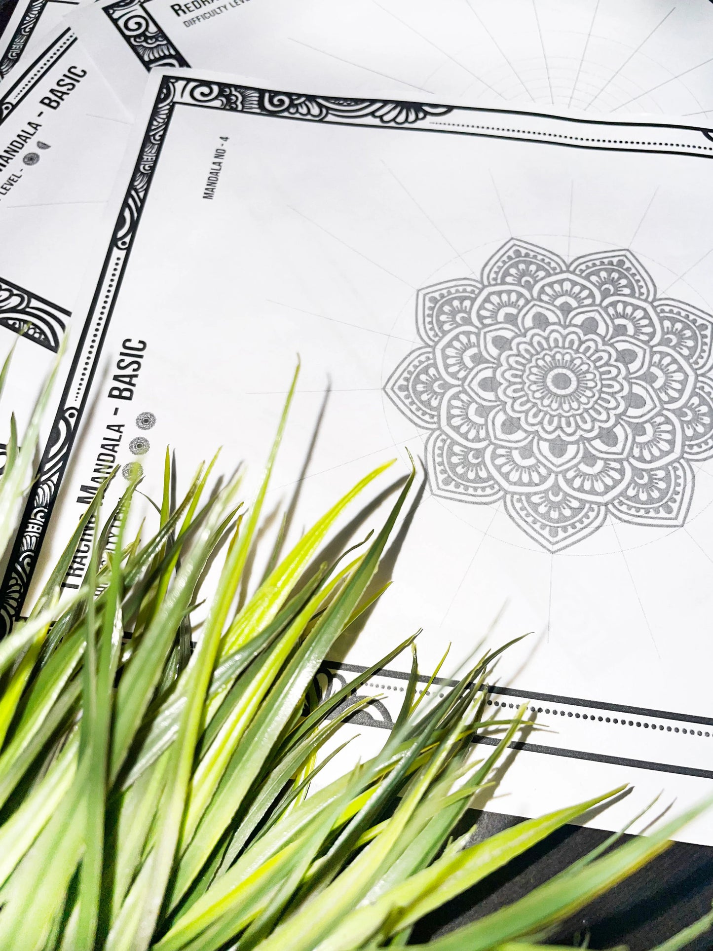 Mandala Colouring & Tracing - Basic - Set Of 5